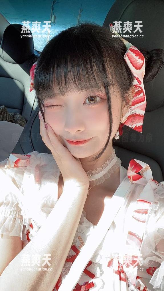 熊熊不只是一只熊：Wendy的图集为你带来意想不到的资源