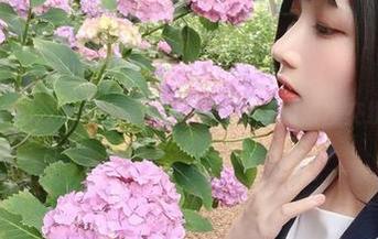 美图探索记：凛子酱与紫阳花的浪漫交织