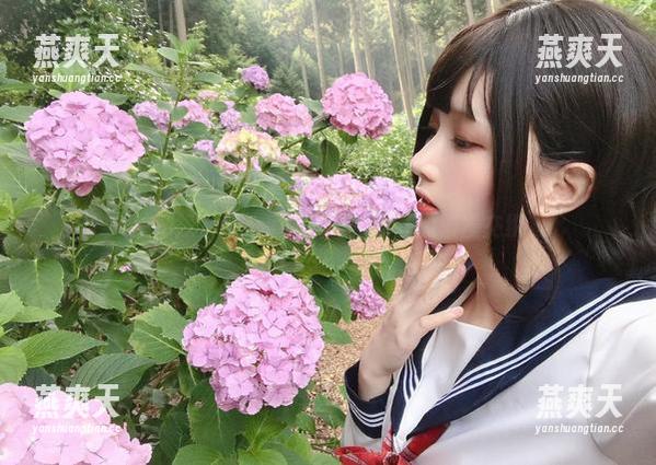 美图探索记：凛子酱与紫阳花的浪漫交织